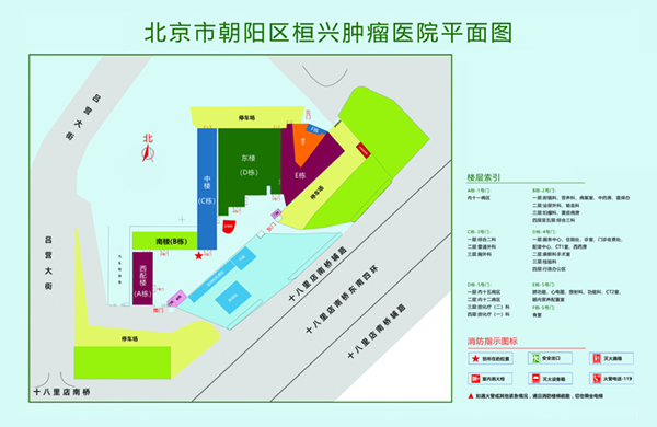 超骚逼网站北京市朝阳区桓兴肿瘤医院平面图